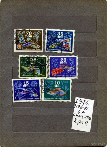 ГДР,  РЫБЫ,   серия, 6м, гашен