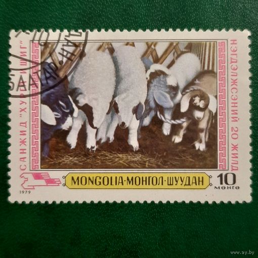 Монголия 1979. Фауна. Ягнята