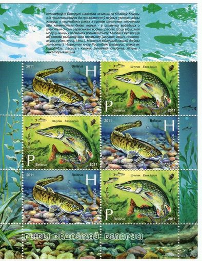 887-888. Беларусь. 2011 год. Рыбы водоемов Беларуси. Щука, налим. МЛ Фауна**