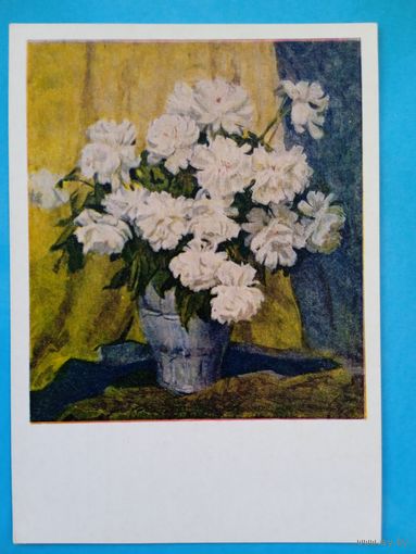 1955. цветы. Берлявская. Натюрморт. Пионы