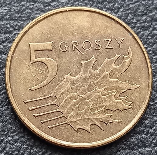 5 грошей 2011