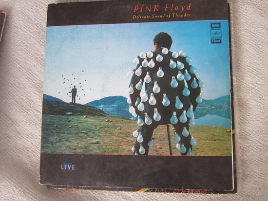2-LP: Pink Floyd " Delicate Sound of Thunder"