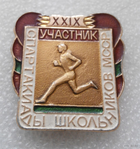 Участник XXIX Спартакиады школьников МССР #0058