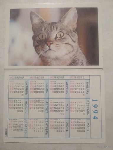 Карманный календарик. Котик.1994 год
