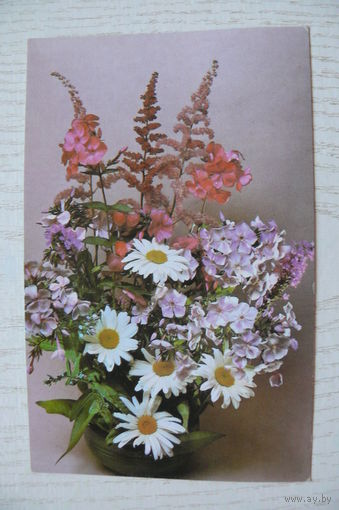 Савалов Е., Цветы; 1987, чистая.