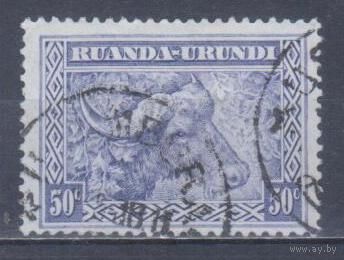 [2365] Бельгийская колония.Руанда-Урунди 1931. Фауна.Буйвол.50с. Гашеная марка.