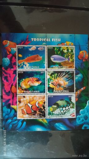 Блок рыбы морские обитатели MNH