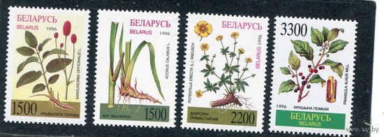 Беларусь 1996. Лекарственные растения