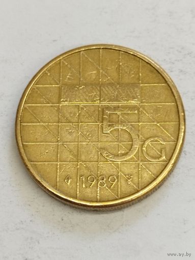 Нидерланды 5 гульден 1989