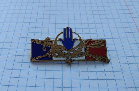 Франция. Знак французских войск в Северной Африке (H1314)