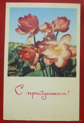 С праздником! Подписанная. 1969 года. 93.