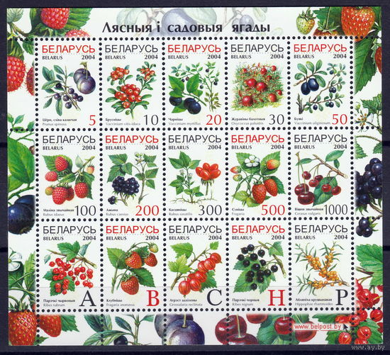 Беларусь 2004 Лесные и садовые ягоды (15)
