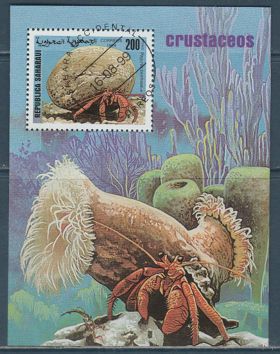 Морская Фауна Рыбы Ракушки Крабы 1999 Сахара