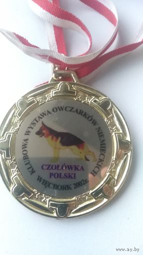 Собачий жетон