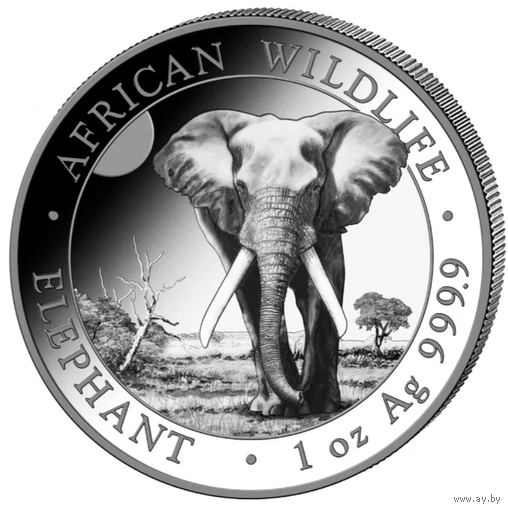 Сомали Африканский слон 2025 серебро 9999