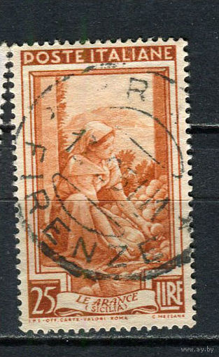 Италия - 1950 - Урожай апельсинов 25L - [Mi.816] - 1 марка. Гашеная.  (Лот 54Gg)-T2P27