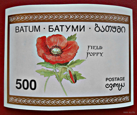 Грузия, цветы мака