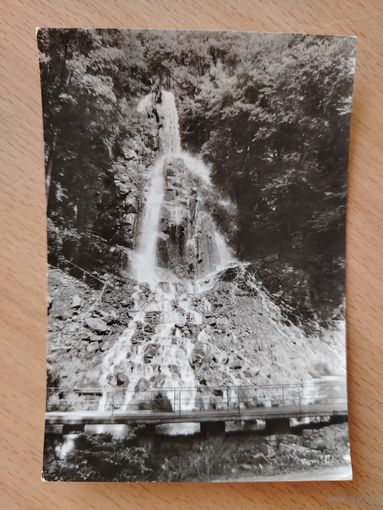 Фотооткрытка 1950-ые Чистая