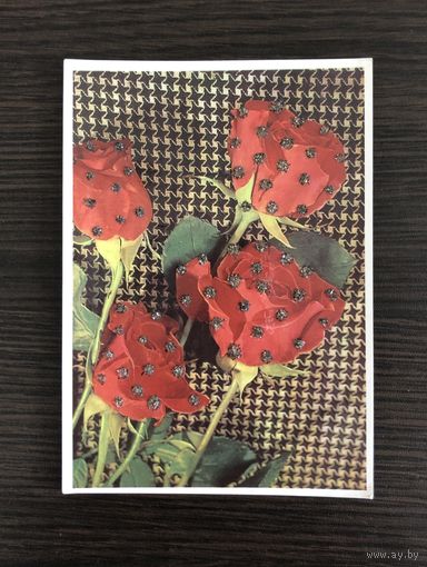 Открытка Розы 1970-е г.