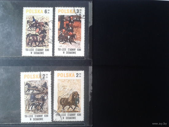 Польша 1980, 150 лет коневодству в Серакове