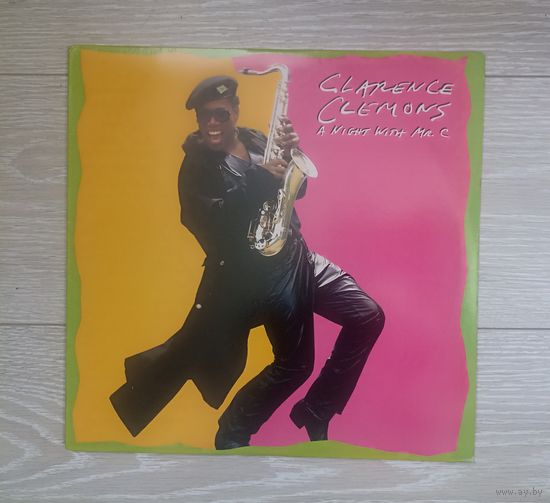 Clarence Clemons - A Night With Mr. C