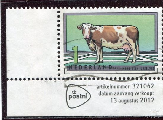 Нидерланды. Породы коров