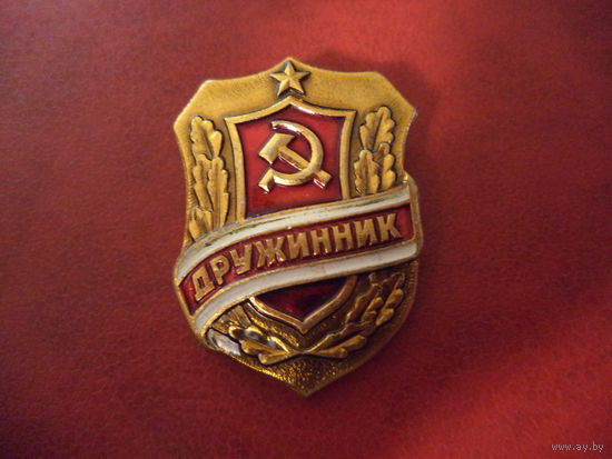 Знак ДРУЖИННИК