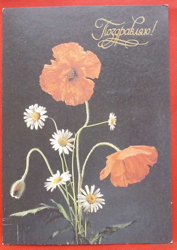 Поздравляю. Киндрова. Чистая. 1990 года. 286.