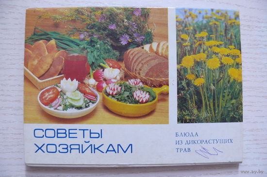 Комплект, Советы хозяйкам. Блюда из дикорастущих трав; 1985 (12 из 15 шт., 10*15).