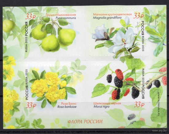 Россия 2025. Флора России. Растения Крымского полуострова (2877)