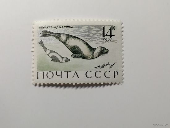 1971 СССР. Морские млекопитающие