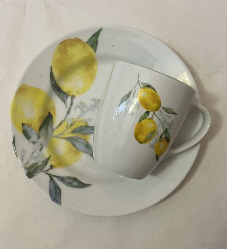 Фарфоровый набор посуды 2 предмета "ЛИМОНЫ" ДФЗ