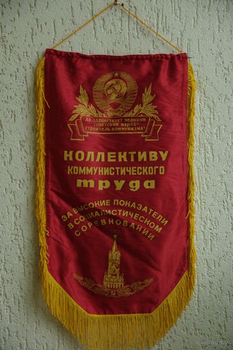 Вымпел  ( 39 см х 72 см )