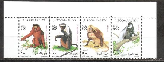 Сомали 1994 Фауна Приматы Обезьяны
