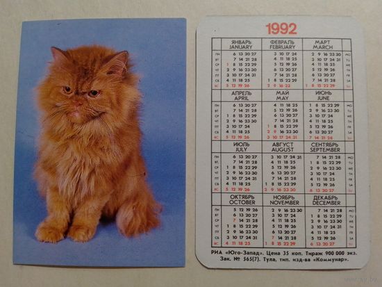 Карманный календарик. Котик.1992 год