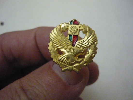 ПОГРАНВОЙСКА  РБ.