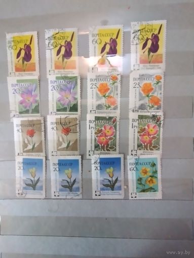 СССР, 1960,   ЦВЕТЫ   16м  по 15 коп штука