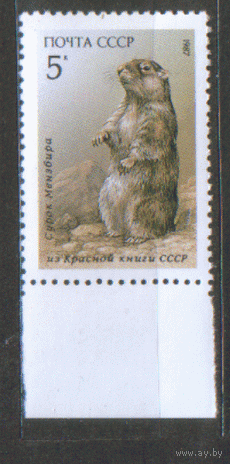 Заг. 5763. 1987. Сурок. ЧиСт.