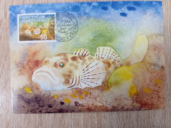 О-10. КАРТМАКСИМУМ. ЛИХТЕНШТЕЙН. РЫБА.