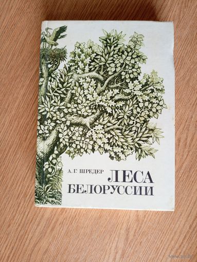 Леса Белоруссии.\021