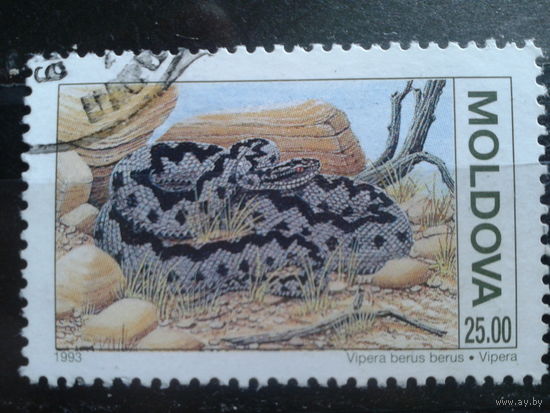 Молдова 1993 Змея 25,0 р концевая Михель-2,5 евро гаш