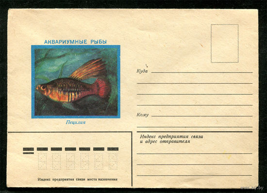 Конверт. Аквариумные рыбы. Пецилия. 1982
