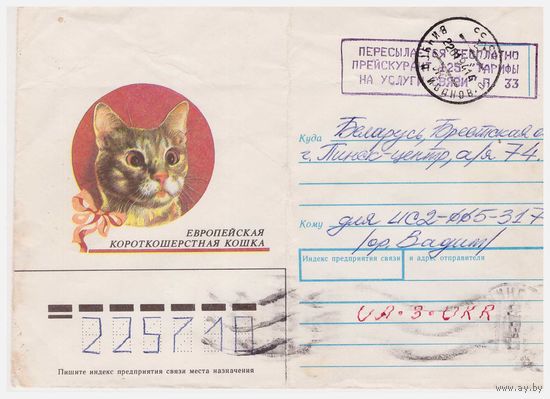 Конверт СССР, прошедший почту. Европейская короткошерстная кошка