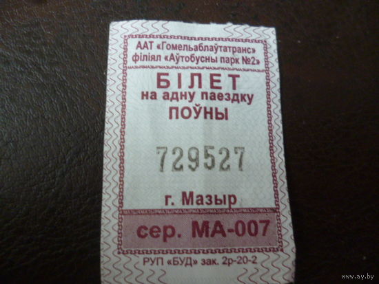 Билет на автобус г.Мозырь