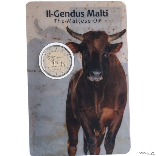 2 евро 2025 Мальта Мальтийский бык блистер BU