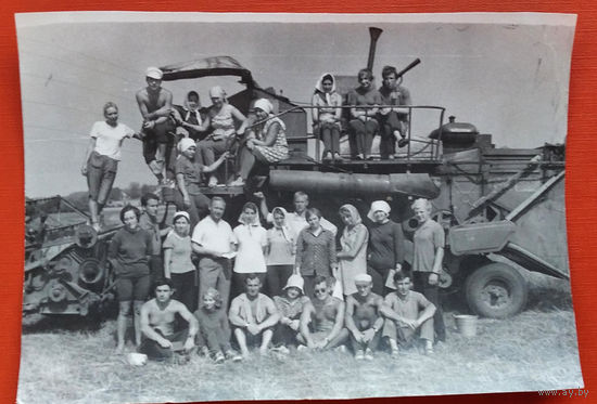 Фото из СССР. Студенты на практике в колхозе. 1971 г. 10.5х14.5 см