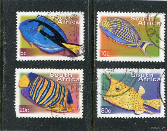 ЮАР. Морская фауна