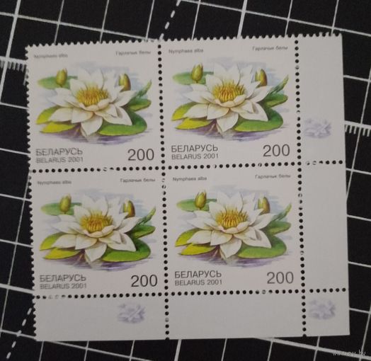 (Ф30-22) Красная книга. 2001. Квартблоки.
