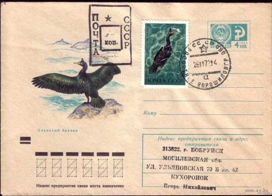 1971 год ХМК Хохлатый баклан 71-525