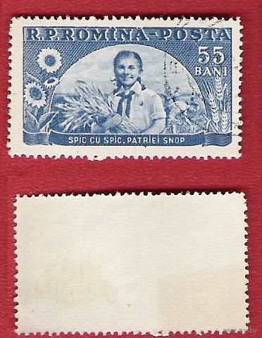 Румыния 1954 Девочка со снопом